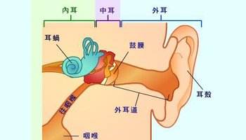 传导性耳朵聋是什么意思?怎么引起的？ (图3)